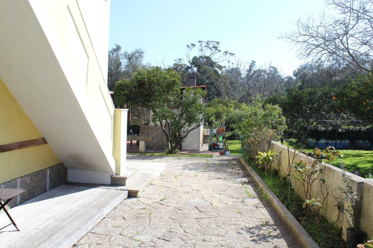 Casa De Alojamento Local 奥埃拉斯 外观 照片